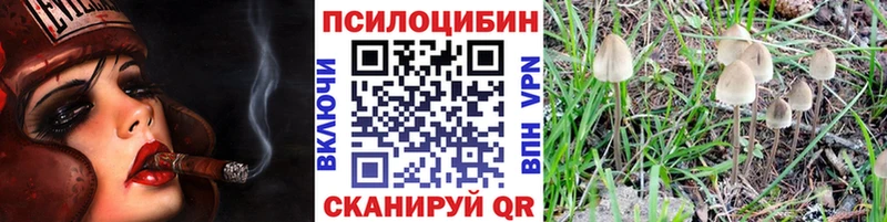 Купить  Зубцов  Псилоцибиновые грибы MAGIC MUSHROOMS 